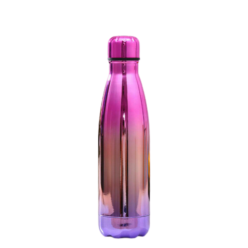 Sofelo Portable Stainless Steel Water Bottle