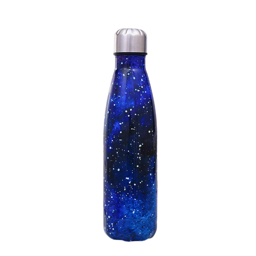 Sofelo Portable Stainless Steel Water Bottle