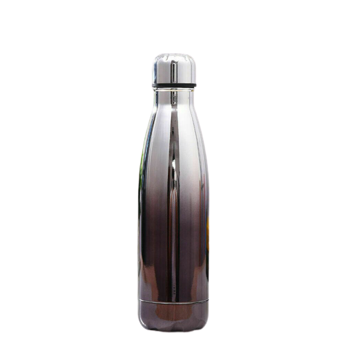 Sofelo Portable Stainless Steel Water Bottle